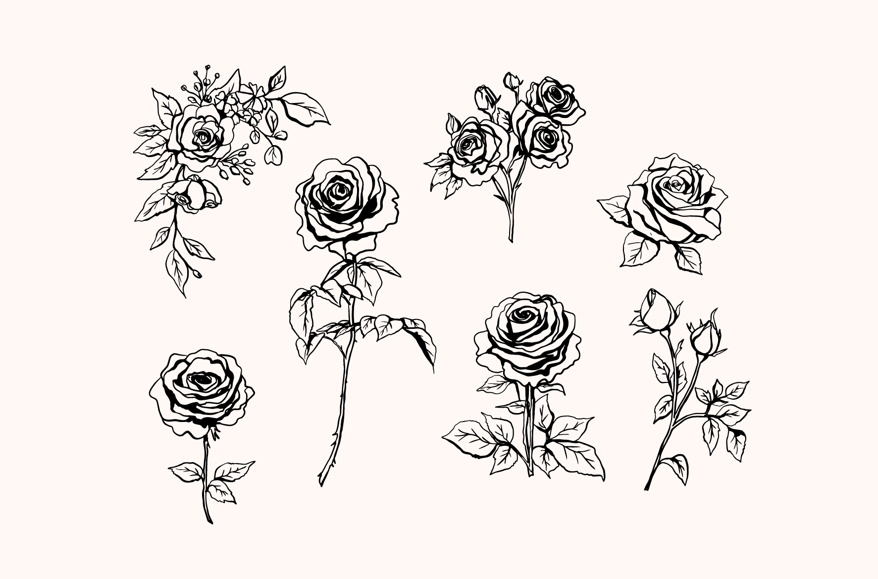 Wedding Roses — sketch 02