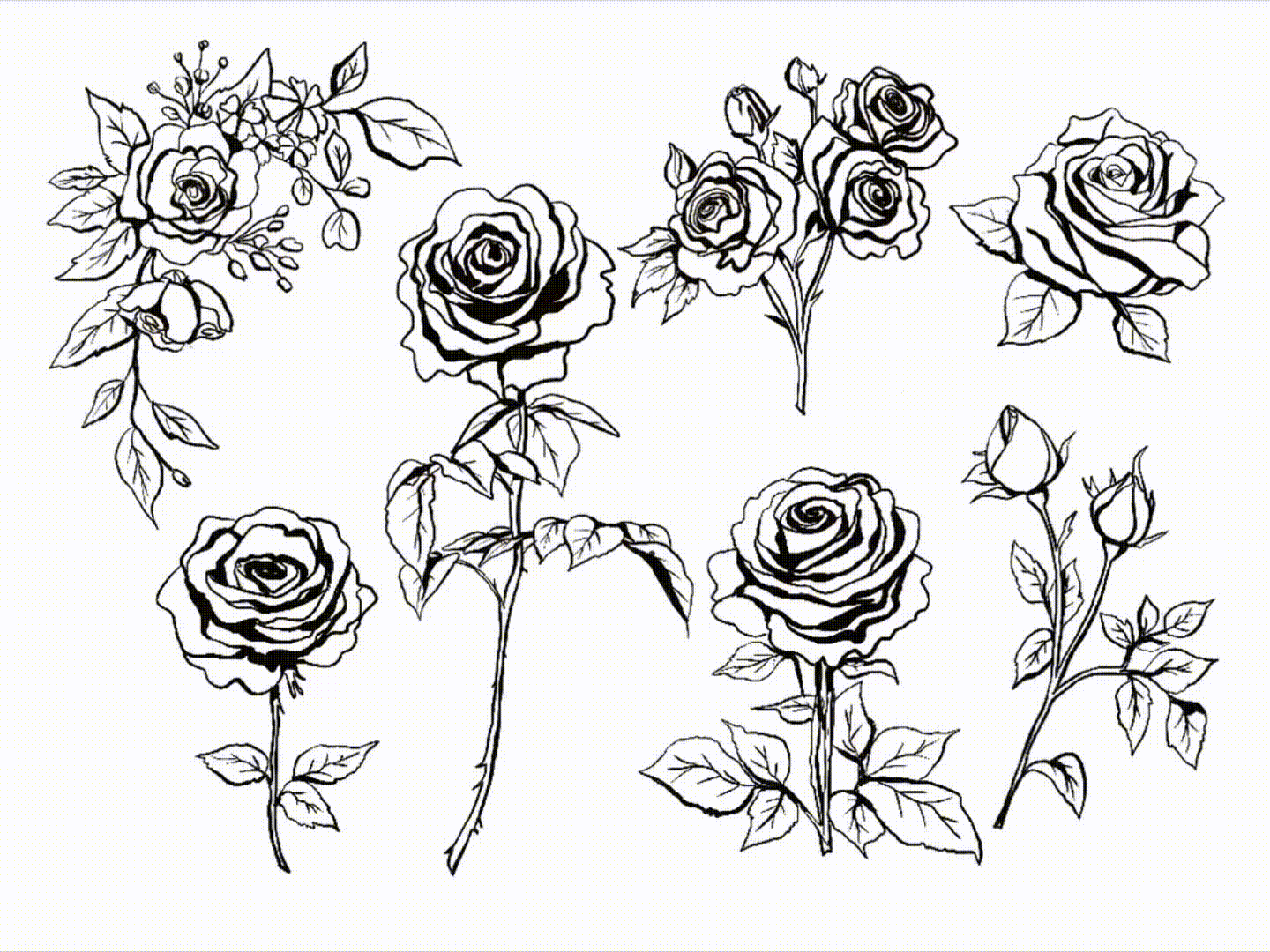 Wedding Roses — animation 04