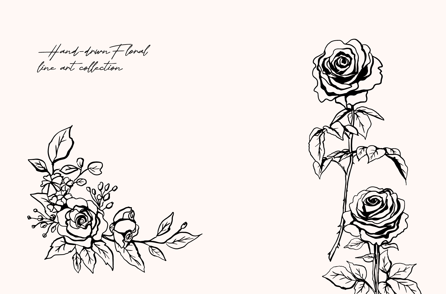 Wedding Roses — sketch 06