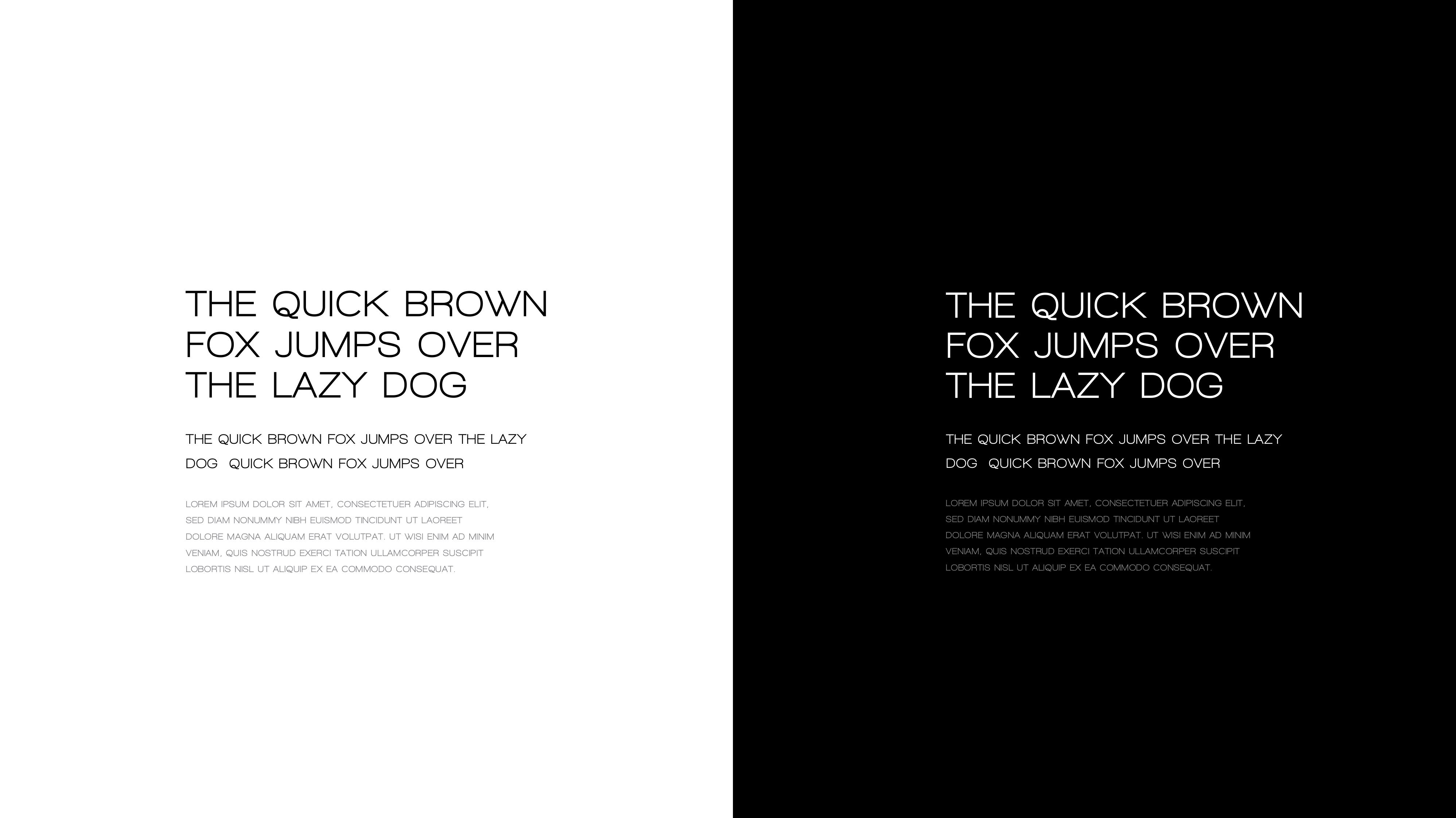 Fractree — visual identity 08