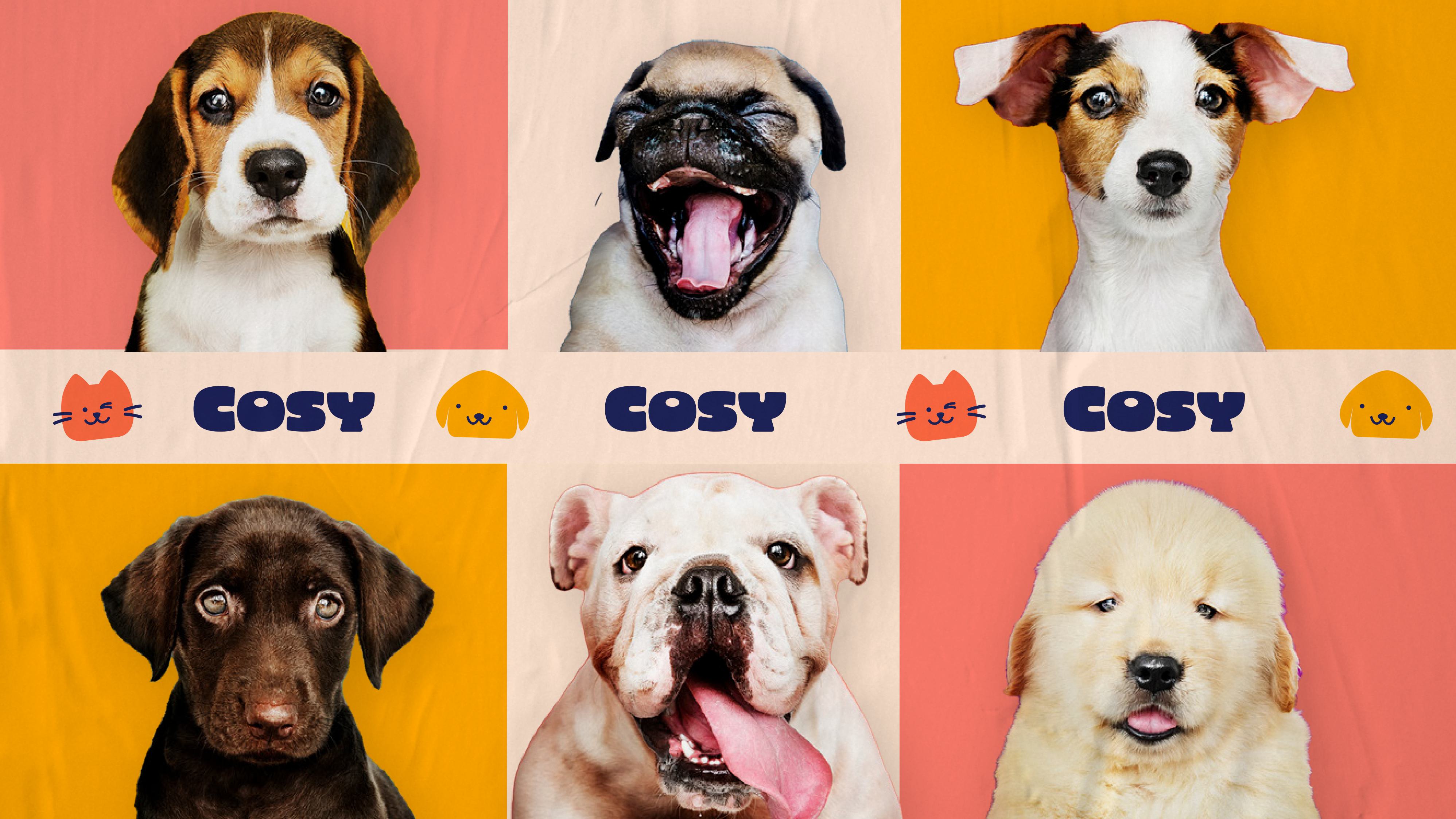 Cosy — pet shop visual identity 18