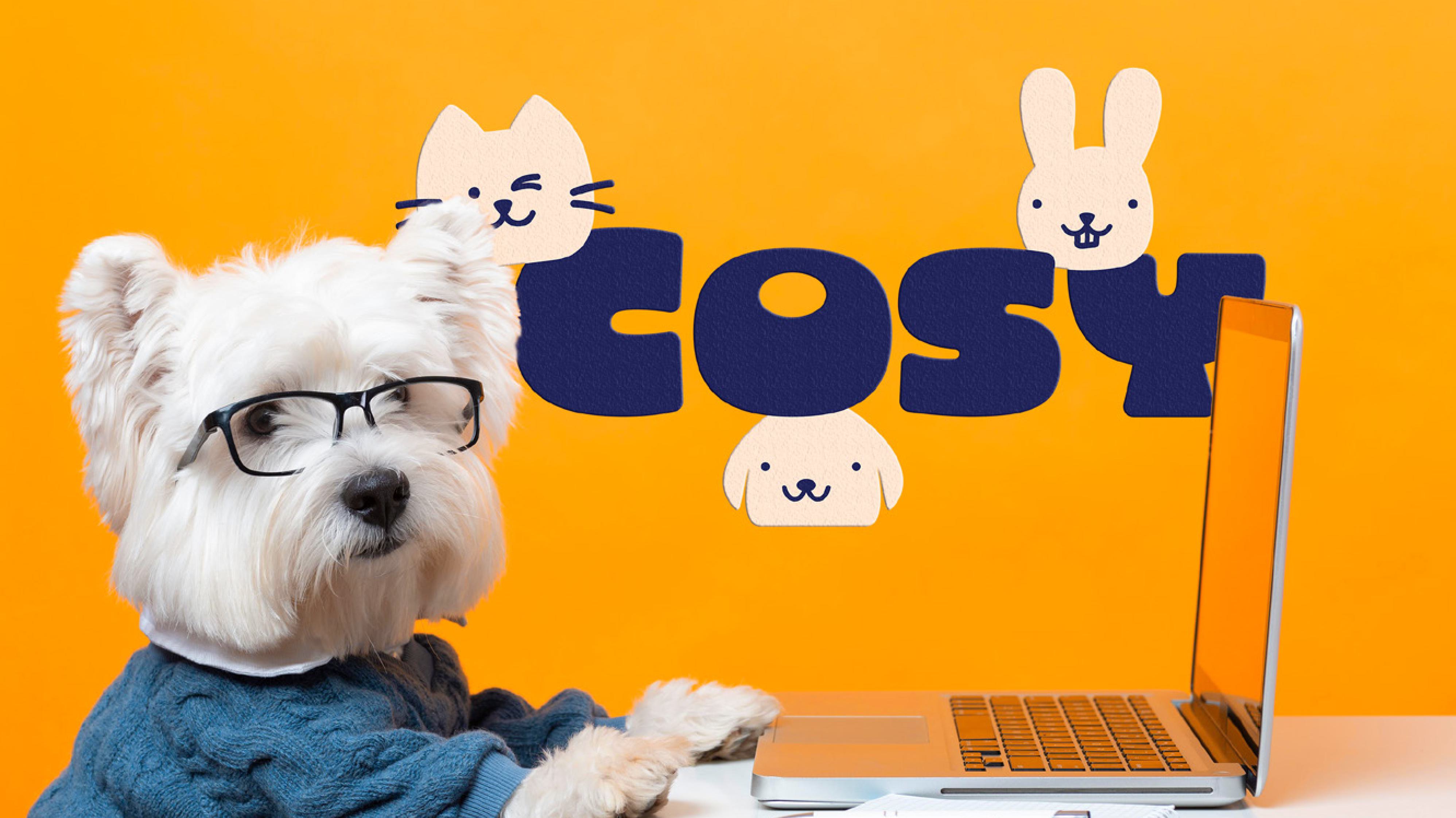 Cosy — pet shop visual identity 21