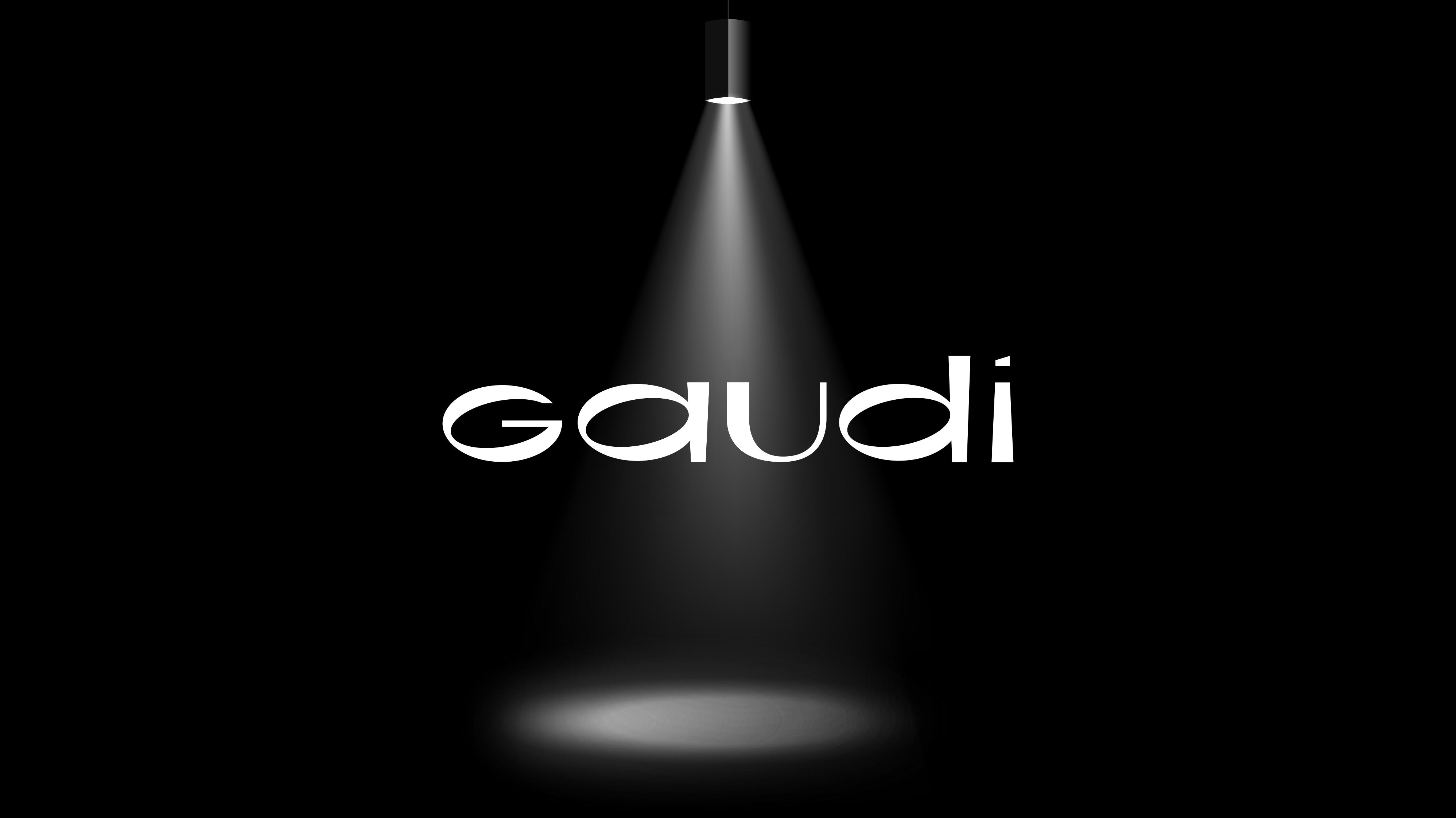 Gaudi — brand identity 06